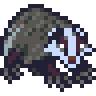 Badger