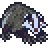 badger