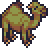 camel