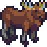 Moose