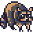raccoon