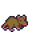 rat