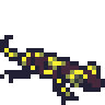 Salamander