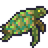 Sea turtle