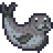 seal