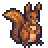 squirrel