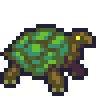 Tortoise