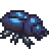 Beetle