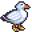 gull