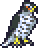 hawk