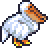 pelican