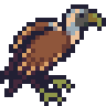 Vulture