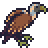 vulture
