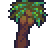 palm tree
