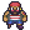 Pirate