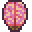 brain