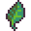 Herb