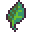herb