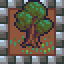 Green thumb
