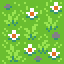 grass