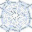 spider_nest